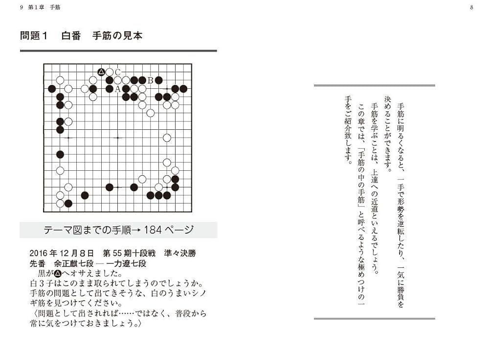 見て並べて上達! 囲碁・プロが選んだ好手好局集 (囲碁人ブックス